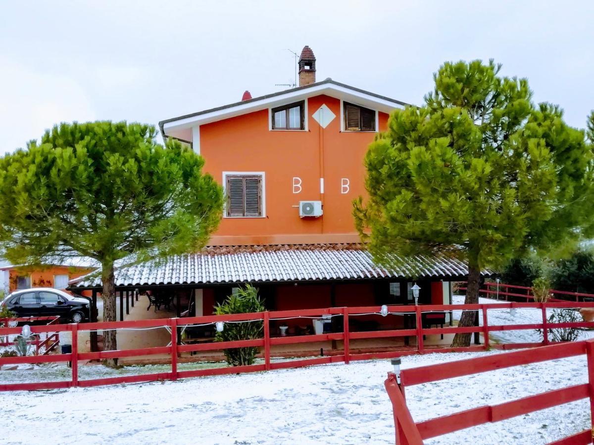 B&B Gli Amici Del Tubarello Roseto Degli Abruzzi Ngoại thất bức ảnh