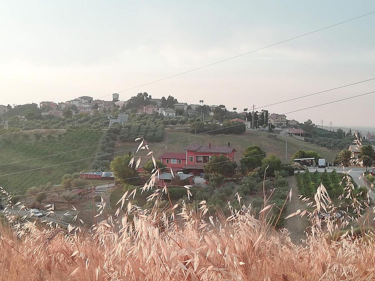 B&B Gli Amici Del Tubarello Roseto Degli Abruzzi Ngoại thất bức ảnh