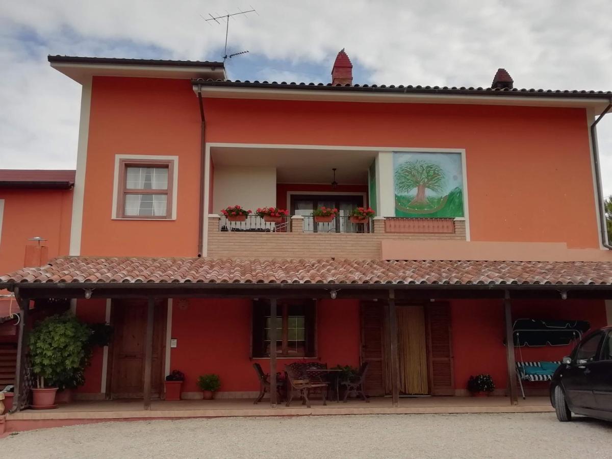 B&B Gli Amici Del Tubarello Roseto Degli Abruzzi Ngoại thất bức ảnh