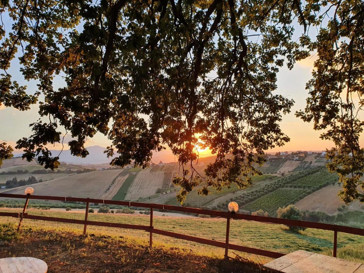 B&B Gli Amici Del Tubarello Roseto Degli Abruzzi Ngoại thất bức ảnh