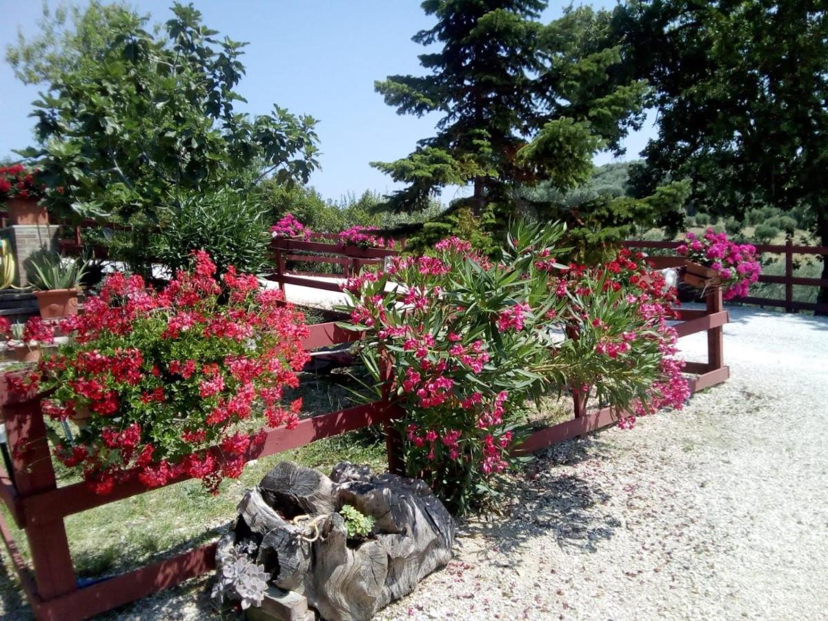 B&B Gli Amici Del Tubarello Roseto Degli Abruzzi Ngoại thất bức ảnh