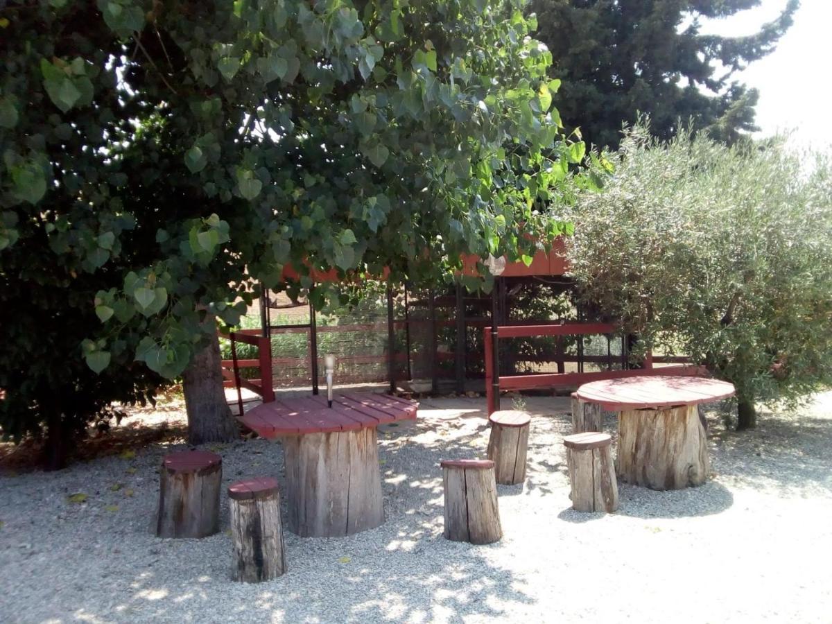 B&B Gli Amici Del Tubarello Roseto Degli Abruzzi Ngoại thất bức ảnh