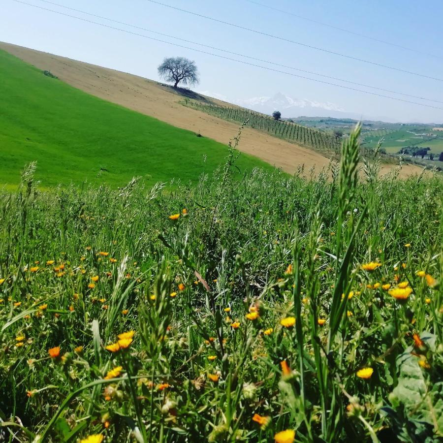 B&B Gli Amici Del Tubarello Roseto Degli Abruzzi Ngoại thất bức ảnh