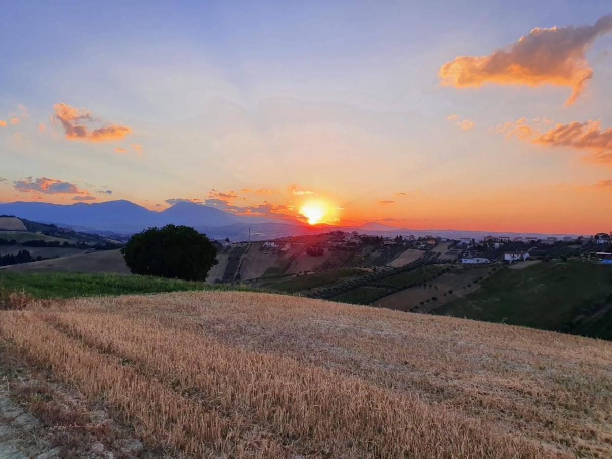 B&B Gli Amici Del Tubarello Roseto Degli Abruzzi Ngoại thất bức ảnh