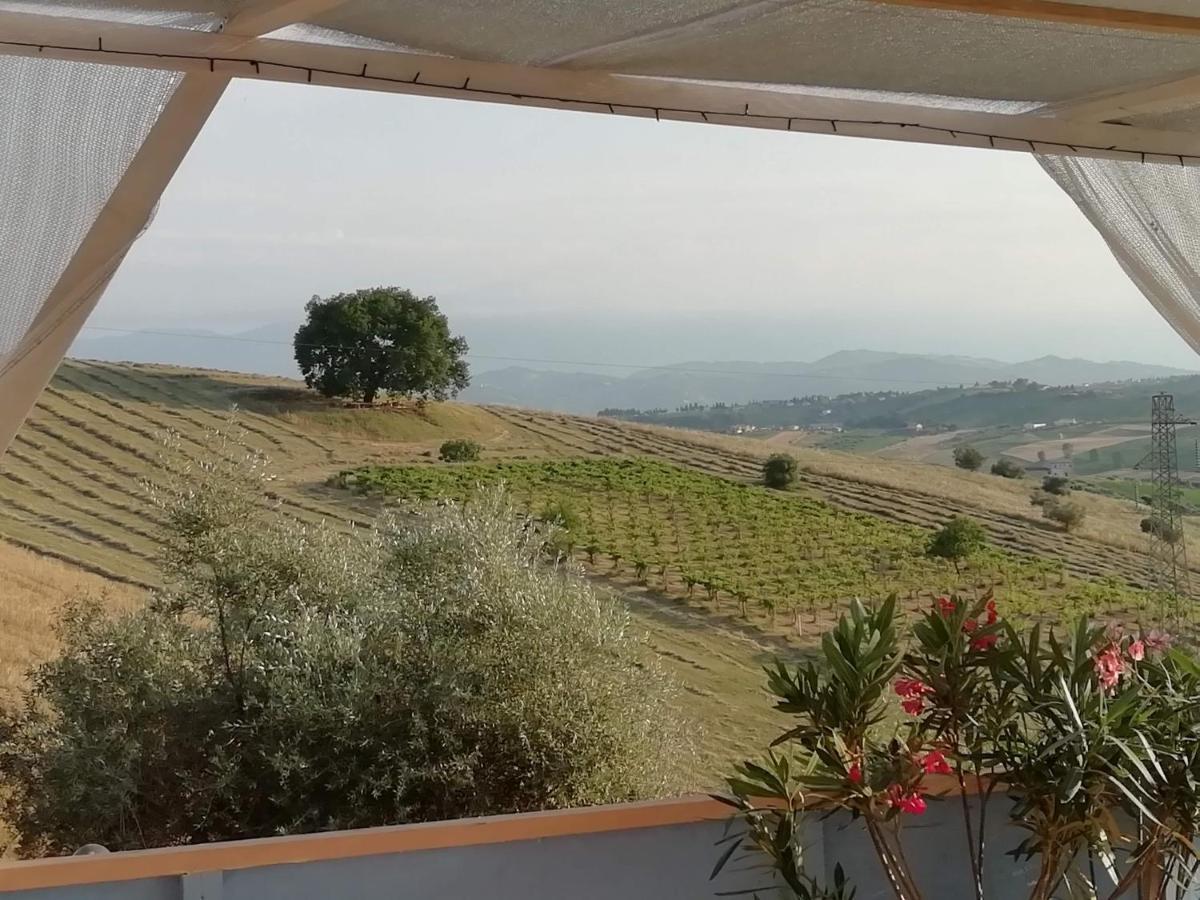 B&B Gli Amici Del Tubarello Roseto Degli Abruzzi Ngoại thất bức ảnh
