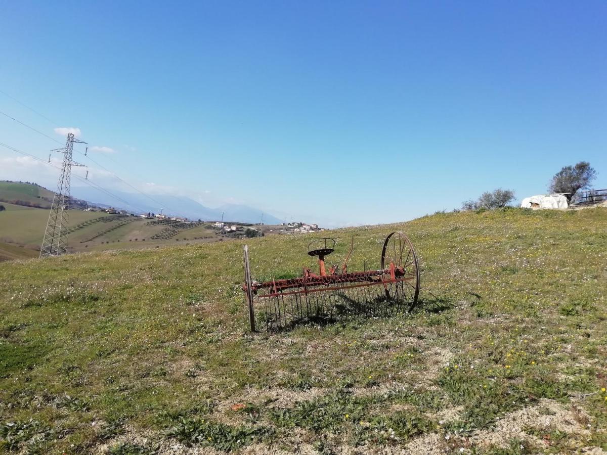 B&B Gli Amici Del Tubarello Roseto Degli Abruzzi Ngoại thất bức ảnh