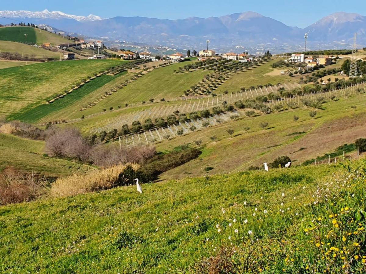 B&B Gli Amici Del Tubarello Roseto Degli Abruzzi Ngoại thất bức ảnh
