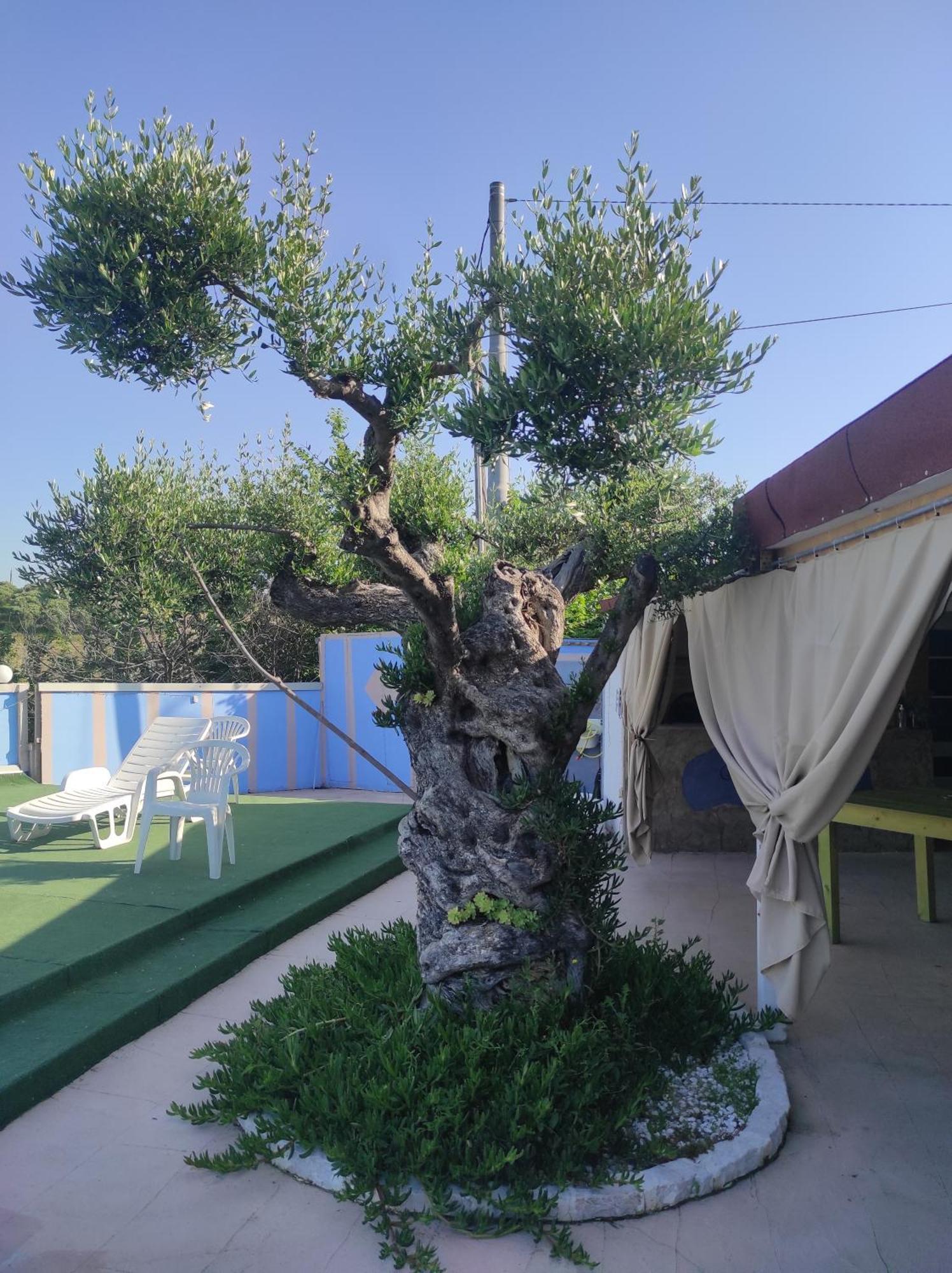 B&B Gli Amici Del Tubarello Roseto Degli Abruzzi Ngoại thất bức ảnh