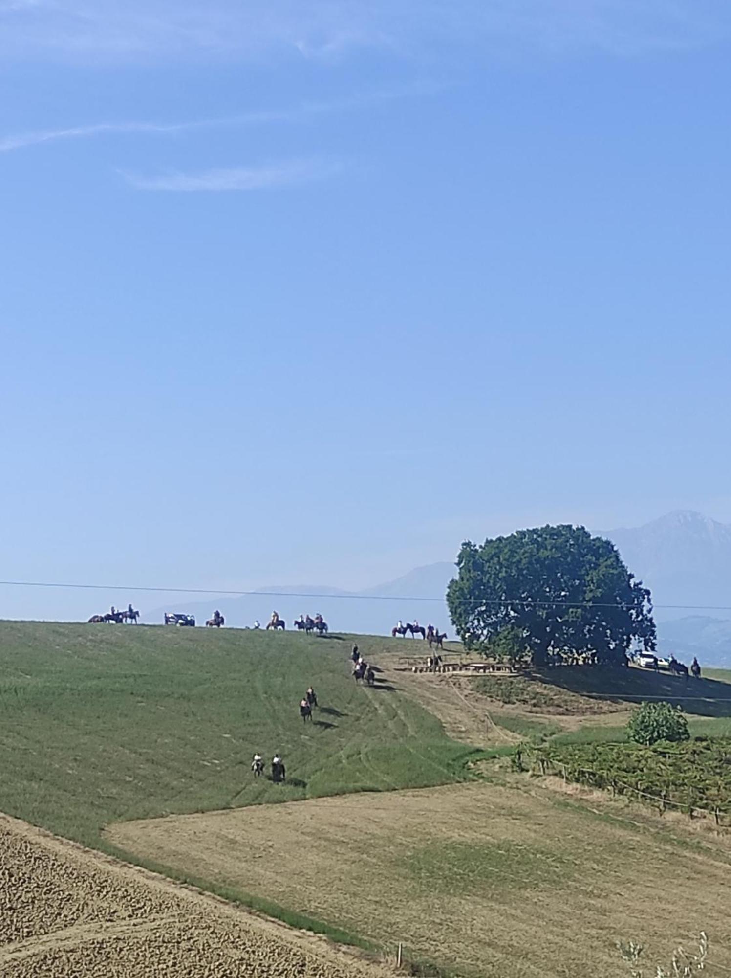 B&B Gli Amici Del Tubarello Roseto Degli Abruzzi Ngoại thất bức ảnh