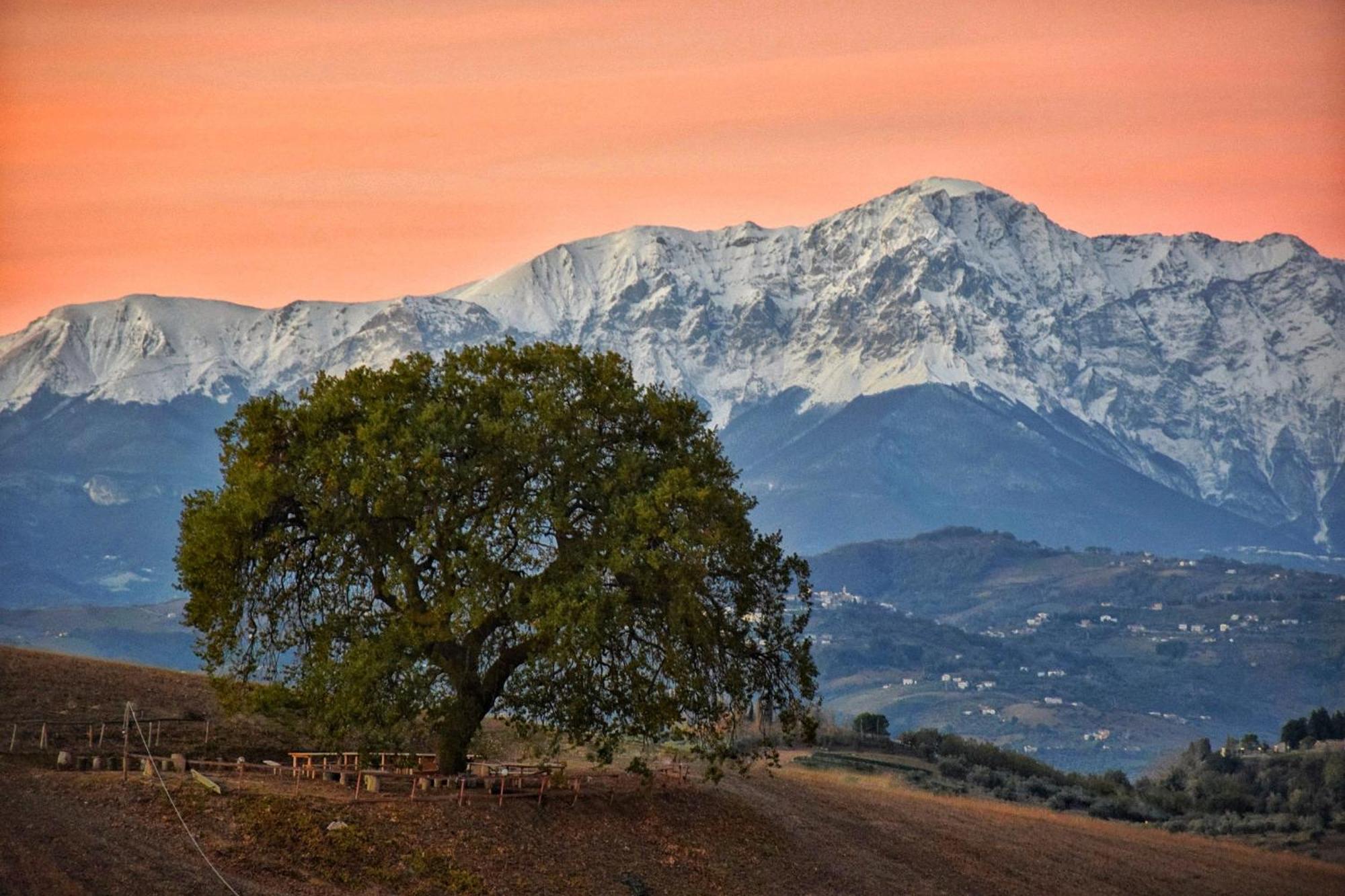 B&B Gli Amici Del Tubarello Roseto Degli Abruzzi Ngoại thất bức ảnh