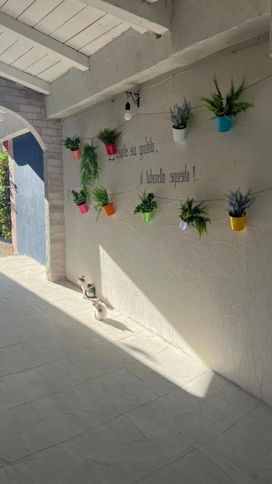 B&B Gli Amici Del Tubarello Roseto Degli Abruzzi Ngoại thất bức ảnh