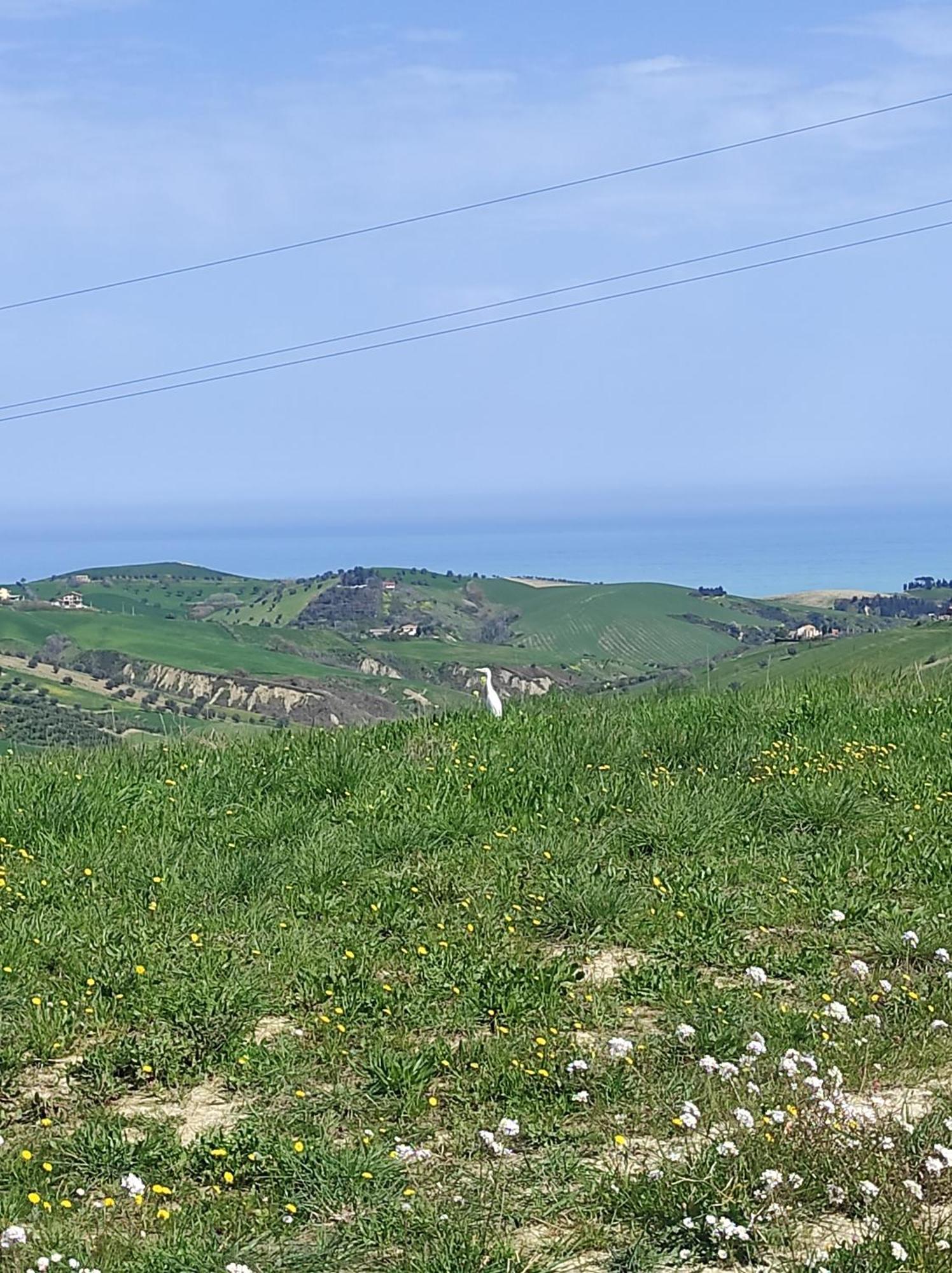 B&B Gli Amici Del Tubarello Roseto Degli Abruzzi Ngoại thất bức ảnh